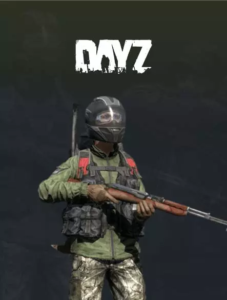 host server dayz romania